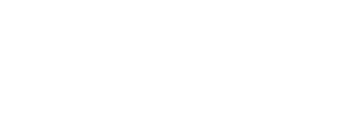 Brand partner 17