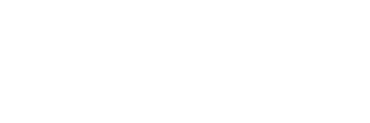 Brand partner 29